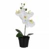 Planta Artificial - Phalaenopsis Branco - MICA