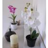 Planta Artificial - Phalaenopsis Branco - MICA
