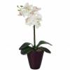 Planta Artificial - Phalaenopsis Branco - MICA