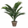 Planta Artificial - Palmeira Areca - MICA