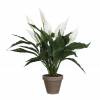 Planta Artificial - Spathiphyllum Branco - MICA