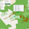 Cartografia florestal