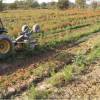 Desmatamento, Limpeza florestal