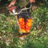 Desmatamento, Limpeza florestal
