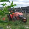 Desmatamento, Limpeza florestal