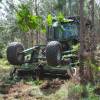 Desmatamento, Limpeza florestal