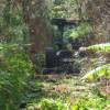 Desmatamento, Limpeza florestal
