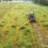 Desmatamento, Limpeza florestal
