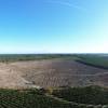 Oramento de propriedade florestal