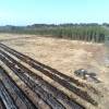 Lavoura florestal