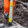 Plantao florestal