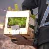 Plantao florestal