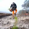 Plantao florestal