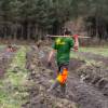 Plantao florestal