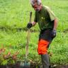 Plantao florestal