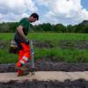 Plantao florestal
