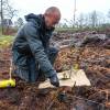 Plantao florestal