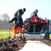 Plantao florestal