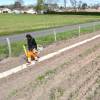 Plantao florestal