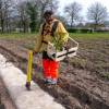 Plantao florestal