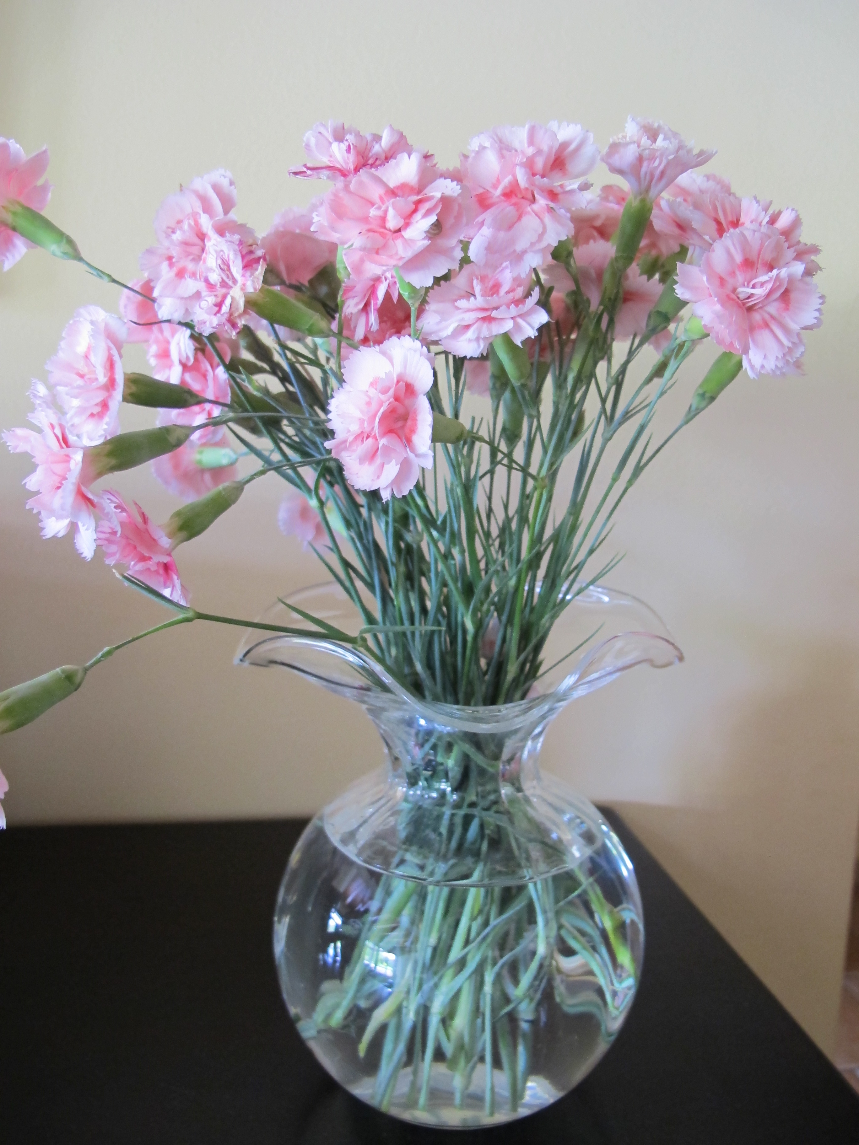 Cravo rosa