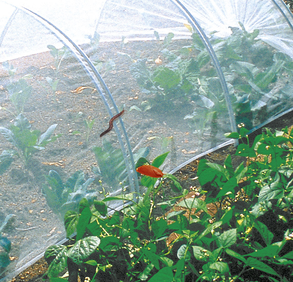 Rede anti-insectos para a horta – 2,2 x 10 m