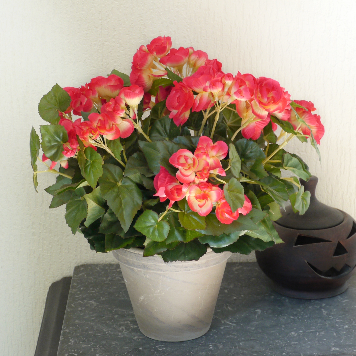 Planta Artificial - Begónia Rosa - MICA