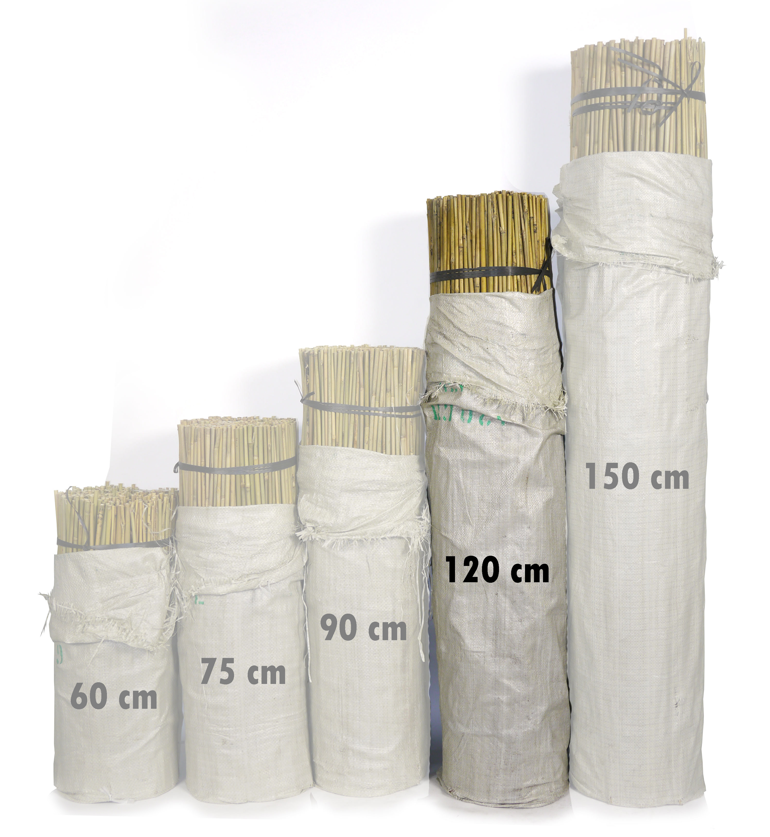 Tutor De Bambu 120 Cm Venda Tutor De Bambu 120 Cm tutor-de-bambu-120-cm-venda-tutor-de-bambu-120-cm