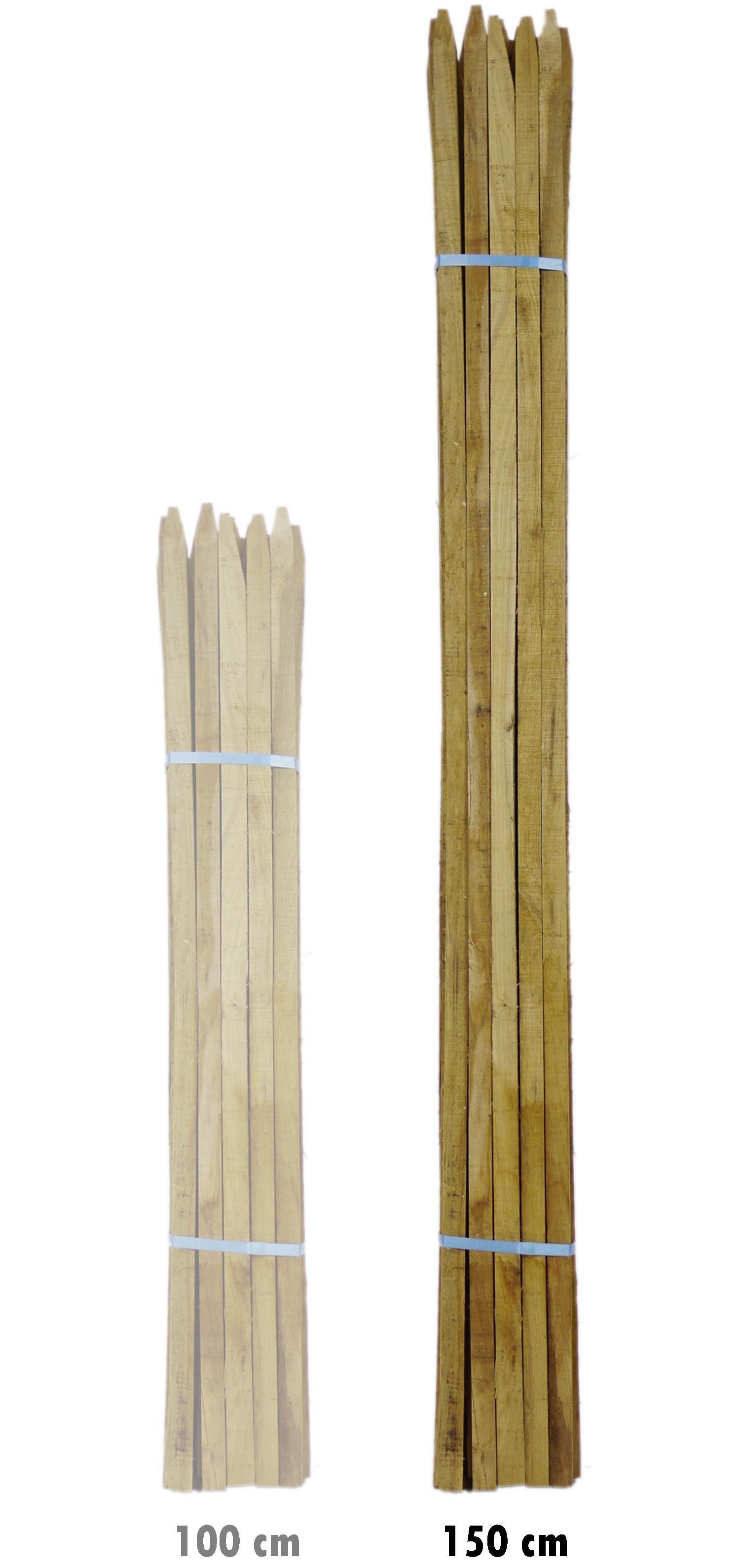 Tutor em castanheiro - 150 cm - 1m50