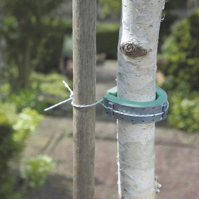 Braçadeira de Tutor em Esponja - L60 cm