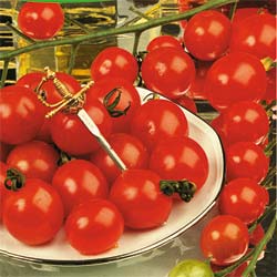 Tomate Cereja