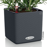 LECHUZA CUBE Color 16 Fioriera Con Irrigazione Integrata, Colore Marrone Sabbia, 17x17x16 Cm, Made In Germany